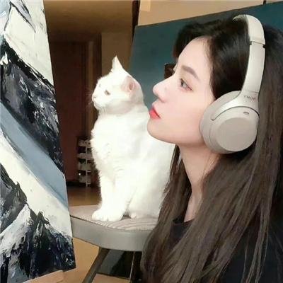 史蒂文斯小姐